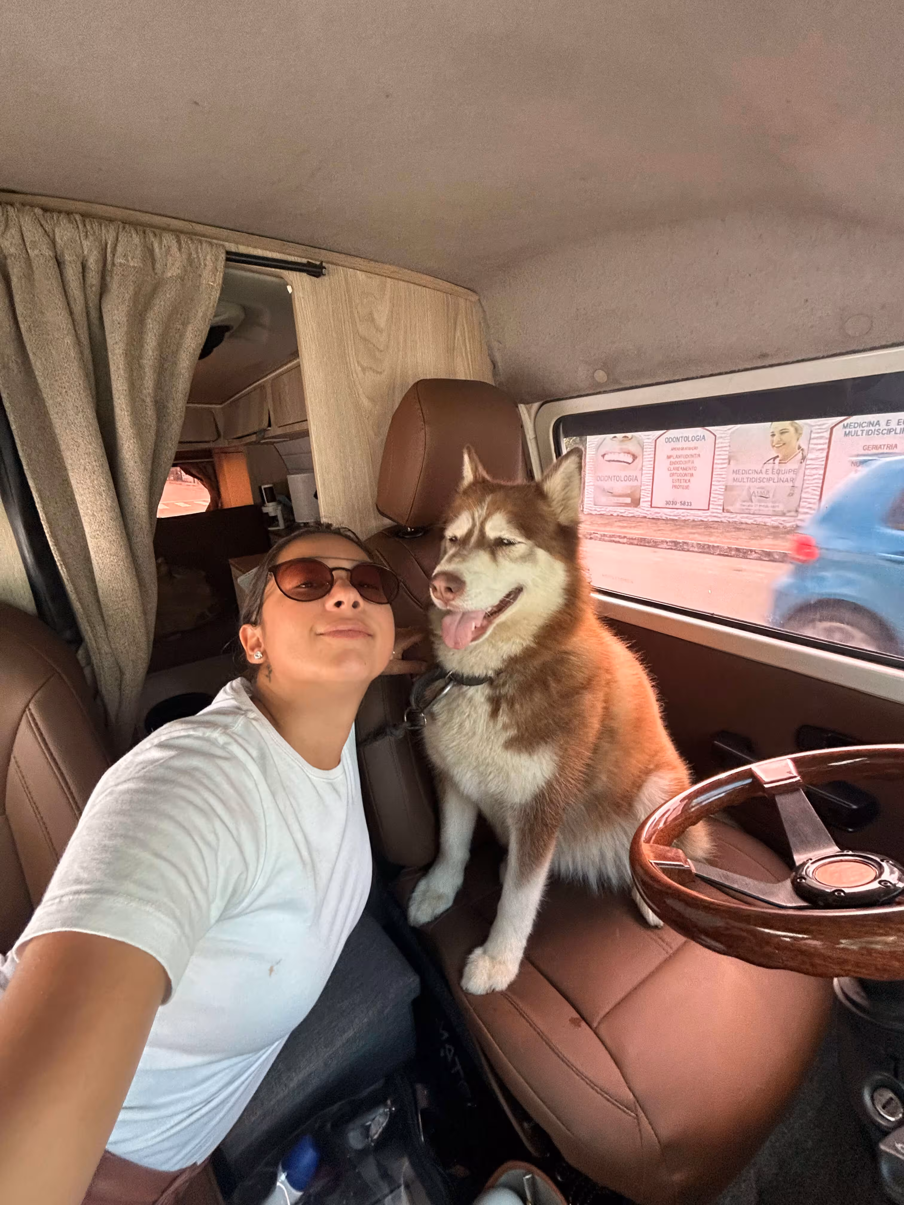 Liberdade viajando com pet